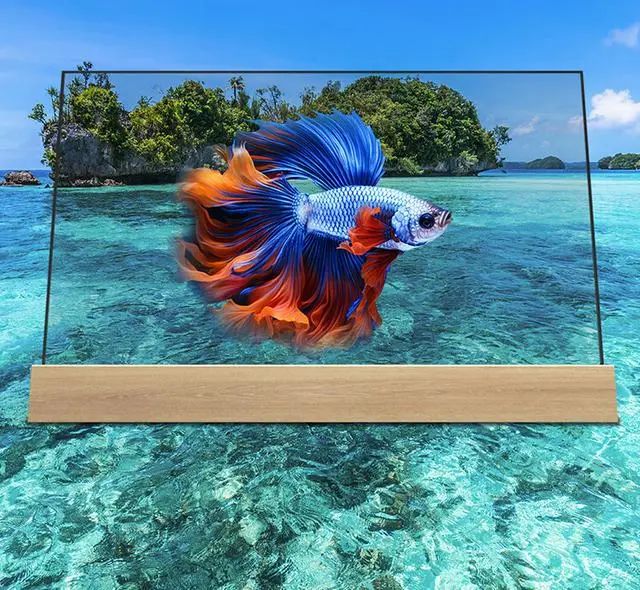 飛利浦推出55英寸透明OLED電視，售價66900元