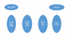 智能終端指紋識(shí)別行業(yè)分析報(bào)告（1）